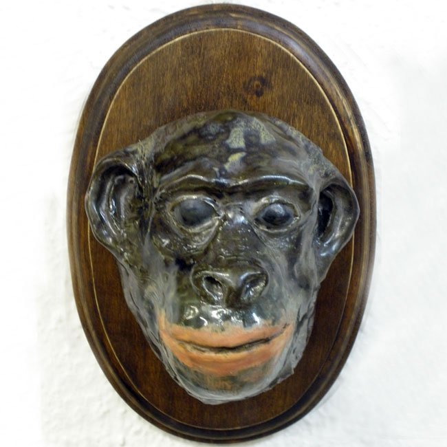 ChimpancÃ©