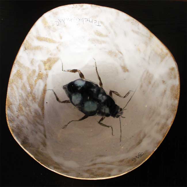 Insecto turquesa
