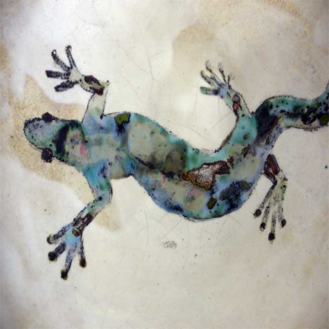 Salamandra turquesa