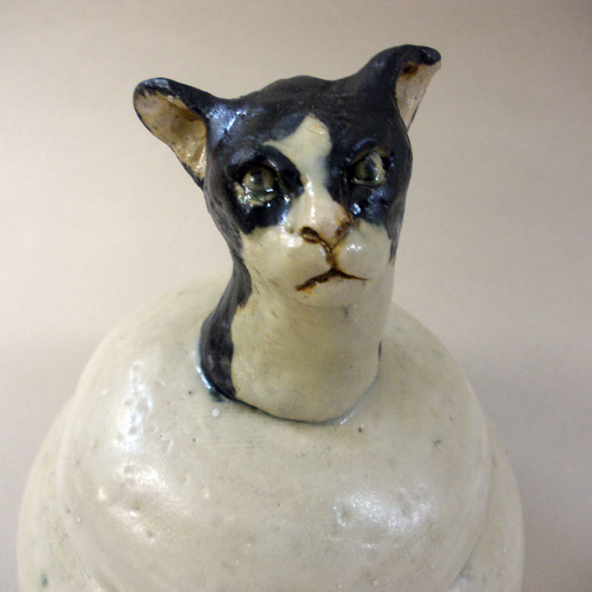 Gato detalle