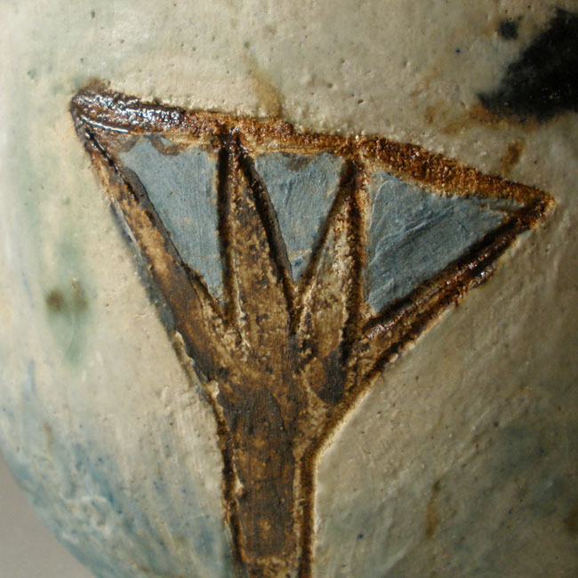BÃºfalo de agua