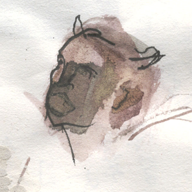 Boceto