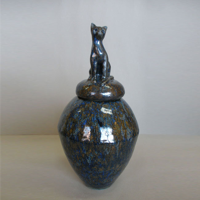 Gato lapislÃ¡zuli